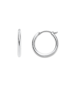Fossil Hoops 